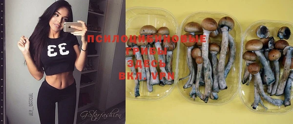 ешки Горнозаводск