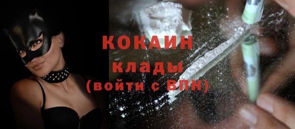 дживик Горняк