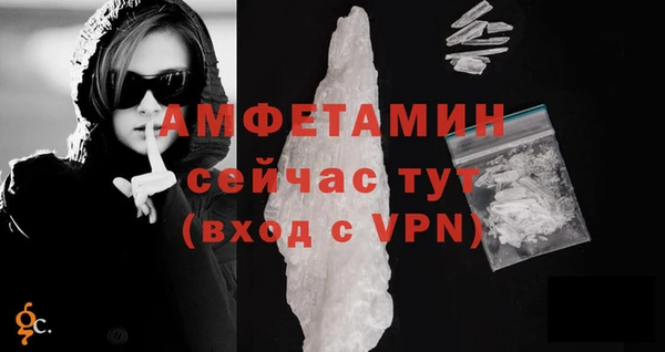 дживик Горняк