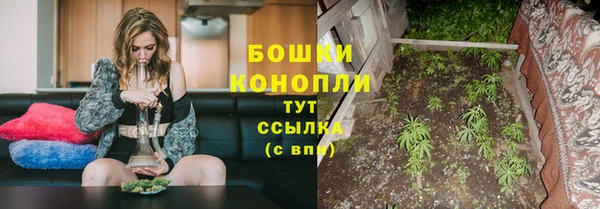 дживик Горняк
