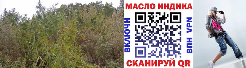 где можно купить   Находка  Дистиллят ТГК Wax 
