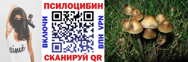 MEGA ссылки  Находка  нарко площадка наркотические препараты  Псилоцибиновые грибы MAGIC MUSHROOMS 